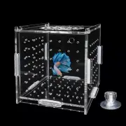 Acrylic Fish Breeding Box, Transparent Fish Isolation Box Hatchery Incubator wit