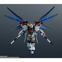 在飛比找蝦皮購物優惠-=海神坊=640260 GUNDAM UNIVERSE ZG