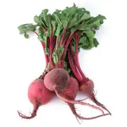 Organic Beetroot Bunch - Fresh, healthy organic delivery | Doorstep Organics
