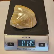 Big 'ol Polished Prairie Agate. 14.5 oz. Glossy Jumbo. #1257. FREE SHIPPING!!!