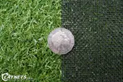30m x 1.2m - Paw Guard Flyscreen Mesh Heavy Duty for Pets