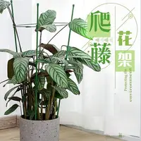 在飛比找樂天市場購物網優惠-台灣現貨【爬籐花架】盆栽支撐架 藤蔓支架 爬藤架 花盆架 植