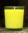 40hr AUSTRALIAN LEMON MYRTLE & BLUE GUM Scented Pure Organic SOY WAX Jar Candles