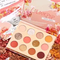 在飛比找蝦皮購物優惠-全新 colourpop SWEET TALK 蜜桃盤12色