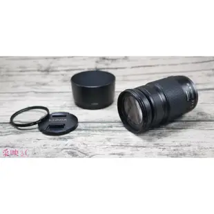 Panasonic LUMIX G VARIO 100-300mm F4-5.6 一代 長焦鏡