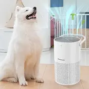 Air Purifiers for Bedroom,Hepa Air Purifier 5 Layers H13 Desk Air Purifier With Essential Oil Diffuser Quiet Air Purifier Pet For Dorm Room (1PCS Upgrade White)