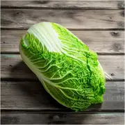 Chinese Cabbage - One Kilo Slow Bolt F1 seeds