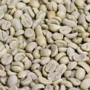 Gourmet Unroasted Decaf Green Coffee Beans 1LB