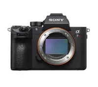 在飛比找Yahoo!奇摩拍賣優惠-【數位小館】SONY A7R3a A7RM3a 單機身 平行