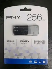 PNY 256GB USB 3.2 Flash Drive (P-FD256ELEDGE-GE)