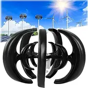 2000W Vertical Wind Power Turbine Generator 5-Blades Wind Turbine Generator 12V 24V DC Vertical Axis Wind Power Generator Kit with Controller,24V