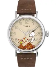 RARE! Timex Standard x Peanuts Featuring Snoopy Autumn 40 mm