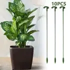 Cage Frame Plant Pile Stand Plants Bracket Plants Support Phalaenopsis Stand