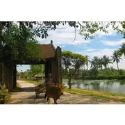 Save 5.00%! Small Group Tour Discover the best of Duong Lam Ancient Village