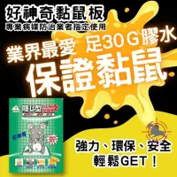 在飛比找momo購物網優惠-【好神奇】超黏黏鼠板20片裝(足30G膠水/展開大尺寸/環保