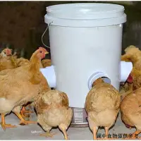 在飛比找蝦皮商城精選優惠-（家禽飼料桶） 新款雞鴨鵝自動下料器餵食器家禽喂料桶重力餵食