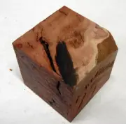 Coolabah Burl (1 pc) Cube 2" - 1863
