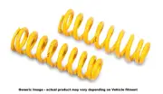 King Springs to suit Honda Rear Coil Spring (for: Honda)