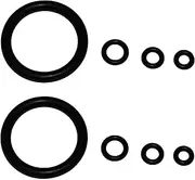 Annual Maintenance O-Ring Kit for MSR Whisperlite & Whisperlite International - Double Kit