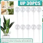 UP 30x Plant Watering Globes Self Watering Globes Automatic Watering Devices NEW