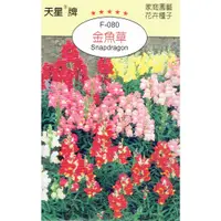 在飛比找蝦皮購物優惠-尋花趣 金魚草(Snapdragon)【花卉種子】  金魚草