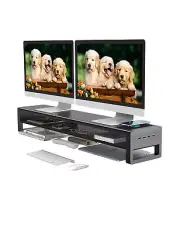 2 Tiers Dual Monitor Stand with Auto Charging Pad, 4 USB 3.0 Hub Ports, Doubl...