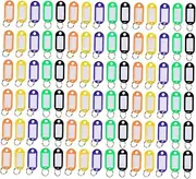 HOODANCOS 100pcs Color Keychain Key Tags Name Tag for Luggage Key Label Keychain Labels Abs Colorful