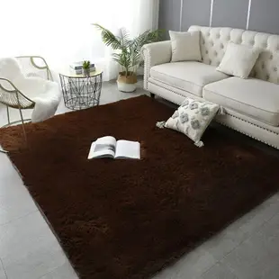 絨毛地毯 長毛地毯 客廳房間地毯 床邊地毯 臥室地毯 地毯地墊