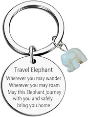 [Generic] Travel Turtle Keychain Wherever You May Wander Good Luck Charm for Family Friends