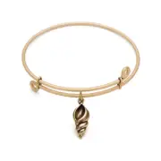 SOL 220059 Conch Shell, Bangle Antique Gold Color Finish