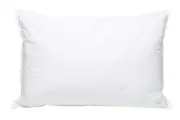 Pillowtex High End White Goose Down Firm Pillow