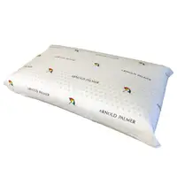 在飛比找momo購物網優惠-【Arnold Palmer雨傘牌】透氣立體結構棉網乳膠枕1