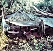 (V) Vietnam 1967=Album +98 (4"/6")-TAKE $25.00 OFF of Regular Price-2 DAYS