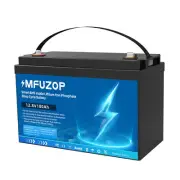 12V 100Ah Lithium Iron Phosphate Battery LiFePO4 Rechargeable Camping RV