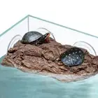 Reptile Turtle Basking Simulation Rock Platform With Suction Cup Climb Tank AU
