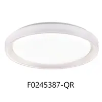 在飛比找PChome24h購物優惠-最新可換式 LED 60W吸頂燈 (F0245387-QR)