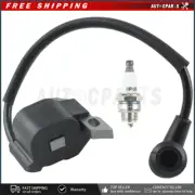 Ryobi RY38BP Replacement Ignition Module, 309266005