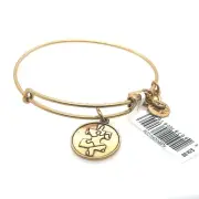 ALEX AND ANI National Autism Association Charm Bracelet