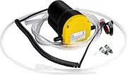 12V Car Engine Oil Pump Electric Diesel Fluid Sump Extractor Scavenge Fuel Transfer Suction Motorbike Car Oil Pump
