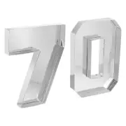 70 Cardboard Number Set Paper Box Fillable Tray Container 10", Silver