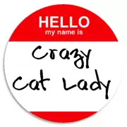 Hello My Name Is Crazy Cat Lady - 3 Pack Circle Stickers 3 Inch