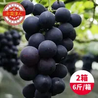 在飛比找鮮拾優惠-【水果達人】 台灣一級巨峰葡萄x2箱(6斤±10%/箱)