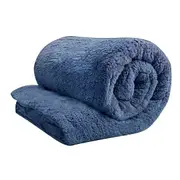 Blue Super Warm Teddy Bear Fleece Thermal Winter Quilt Doona Duvet Cover Set