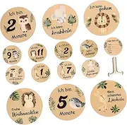 JOINPAYA Handmade Wooden Monthly Milestone Cards Milestone Blocks Photos Prop Adorable Room Decor