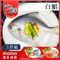 在飛比找momo購物網優惠-【心鮮】極鮮美味活凍白鯧3件組(300g-400g/尾)