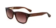 Derek Lam Parkl CHO Men's Sunglasses Brown Size 53