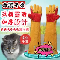 在飛比找蝦皮購物優惠-📢臺灣快速出貨📢 寵物防咬手套 防咬手套 防咬 手套 防抓手