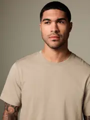 Neutral Stone Regular Fit Essential Crew Neck Cotton T-Shirt (AT4197) | $15