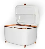 MegLob 9L Smart Mini Fridge, Portable Beauty Refrigerator, Car Cosmetics Cooler, Desktop Medicine Insulin Breast Milk Freezer-Can Be Connected Wirelessly with Mobile Phone,White gold