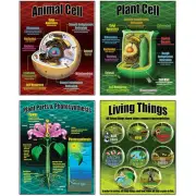 TEACHER CREATED RESOURCES Life Science Teaching Poster Set 077
